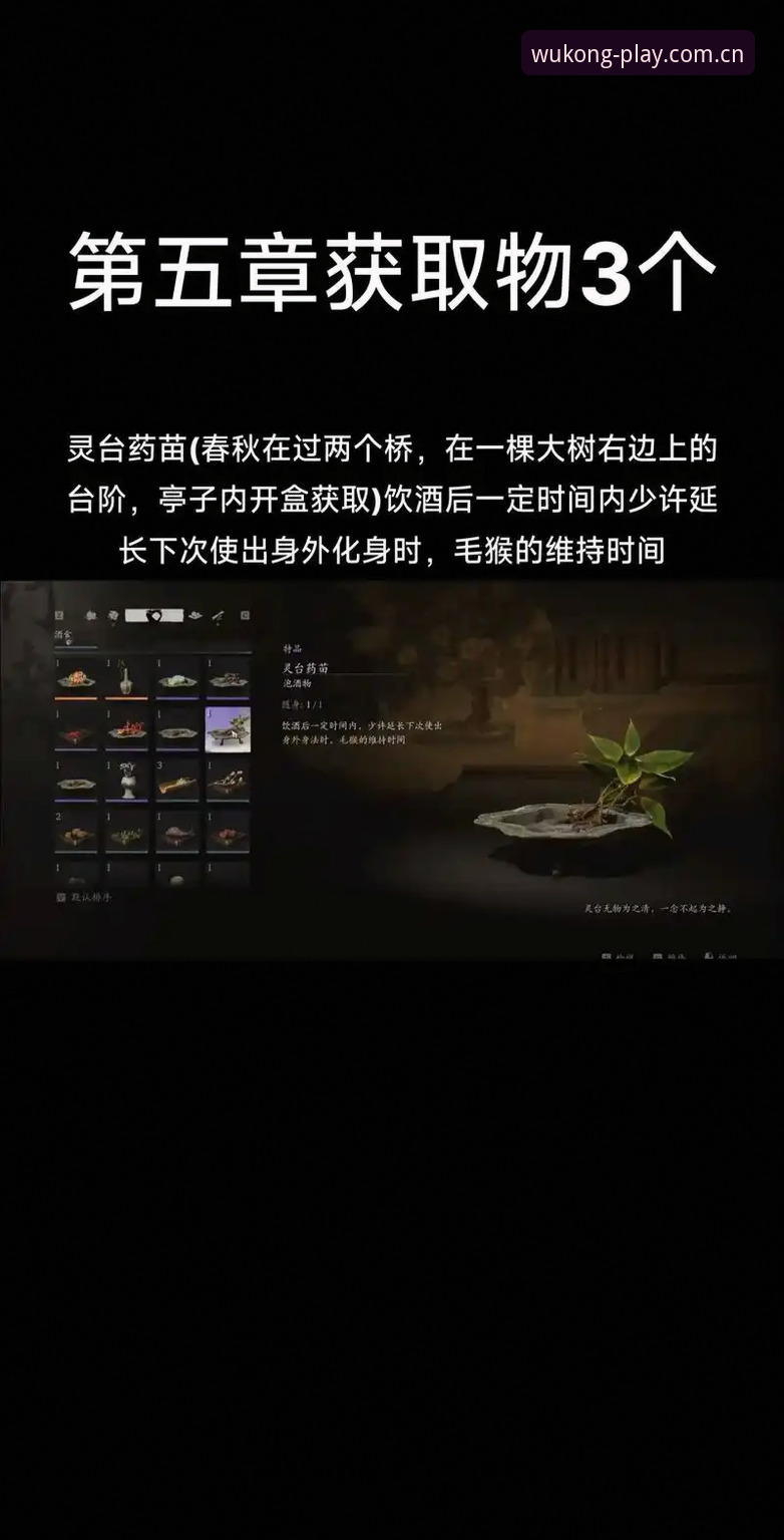 悟空体育功能详解最新动态：2025年全方位使用指南与隐藏功能揭秘